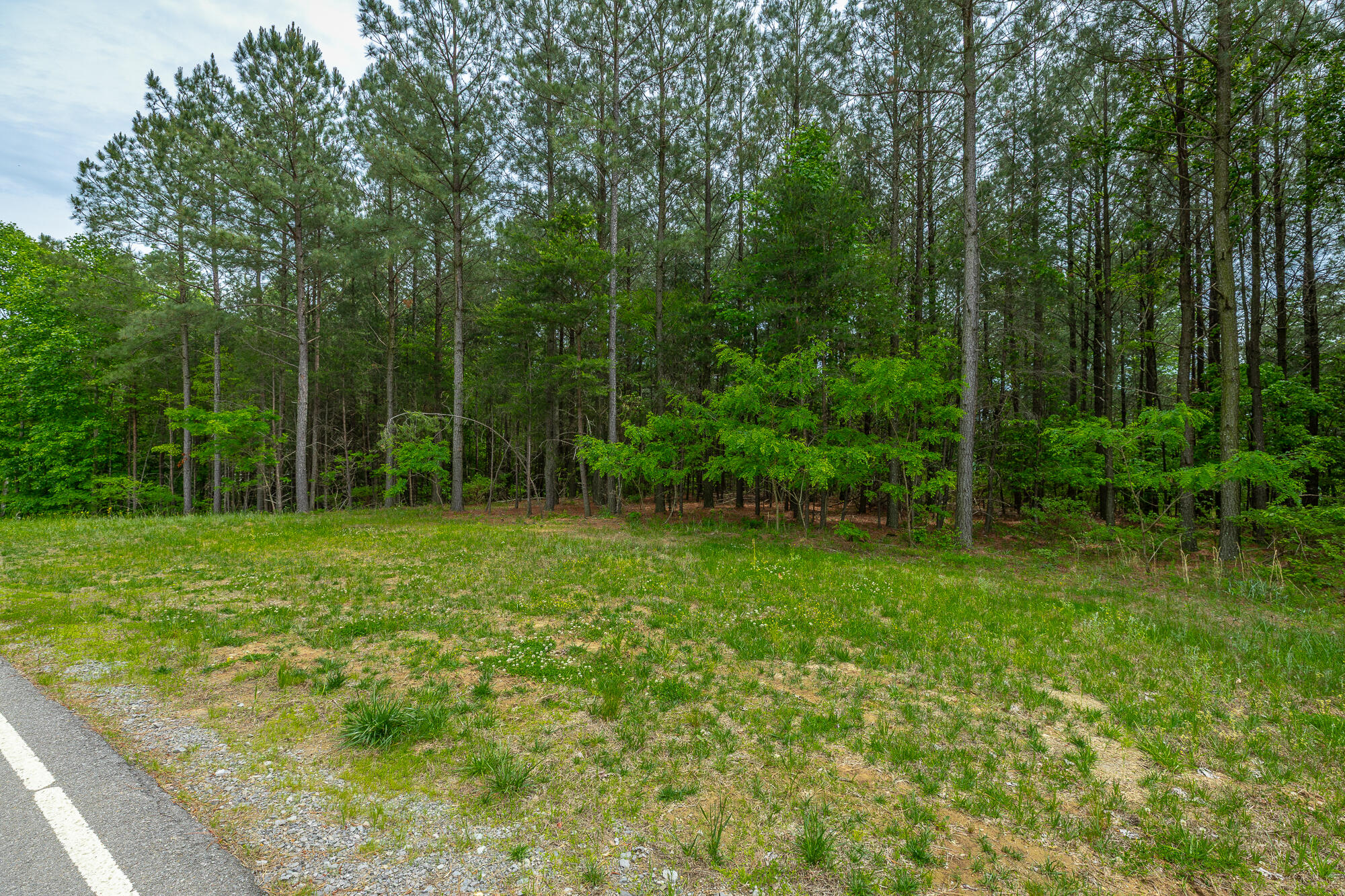 0 Crockett Pointe Point, Unit JF160 Jasper, TN 37347 - Photo 19 of 77 0 Crockett Pointe - JF160 HD-59