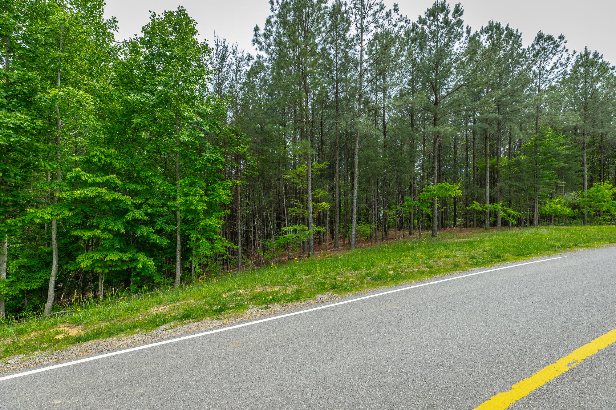 0 Crockett Pointe Point, Unit JF160 Jasper, TN 37347 - Photo 21 of 77 0 Crockett Pointe - JF160 HD-61