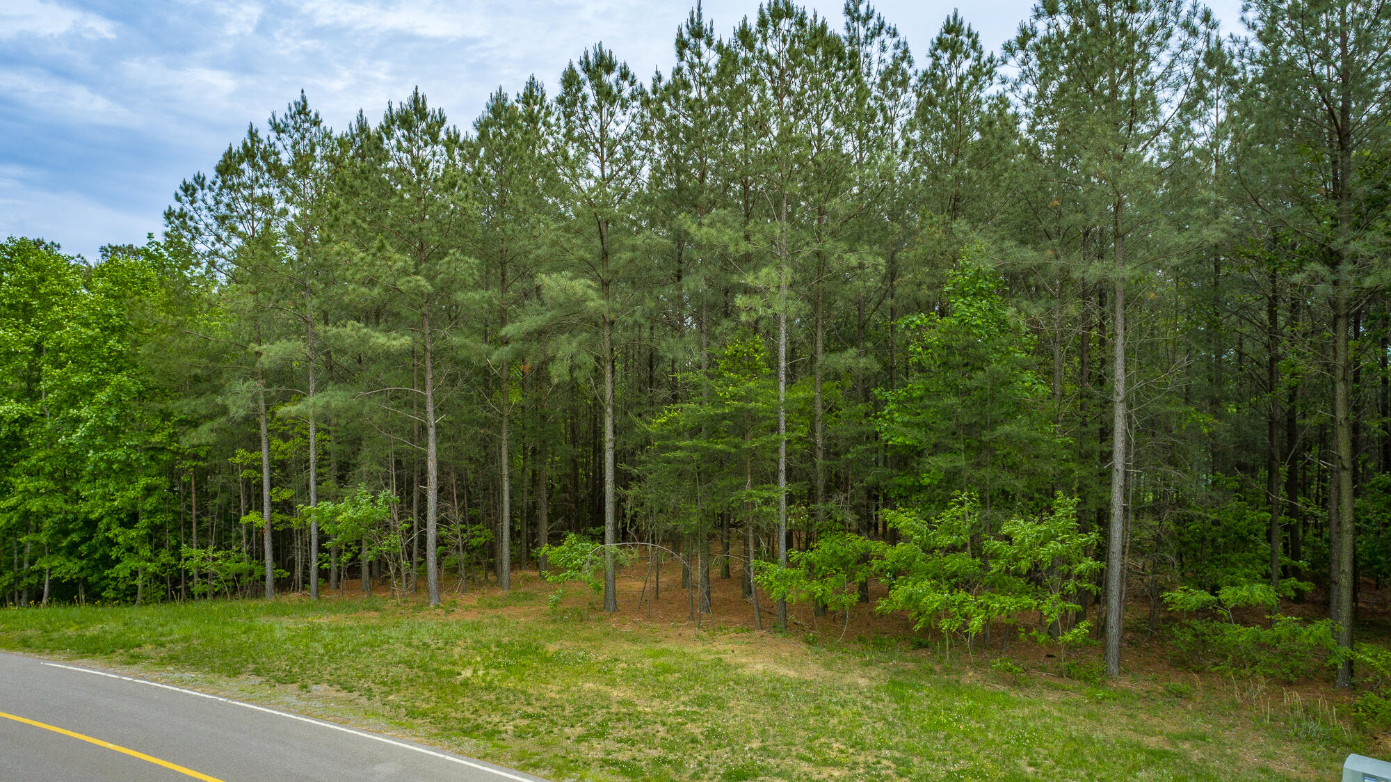 0 Crockett Pointe Point, Unit JF160 Jasper, TN 37347 - Photo 23 of 77 0 Crockett Pointe - JF160 HD-4