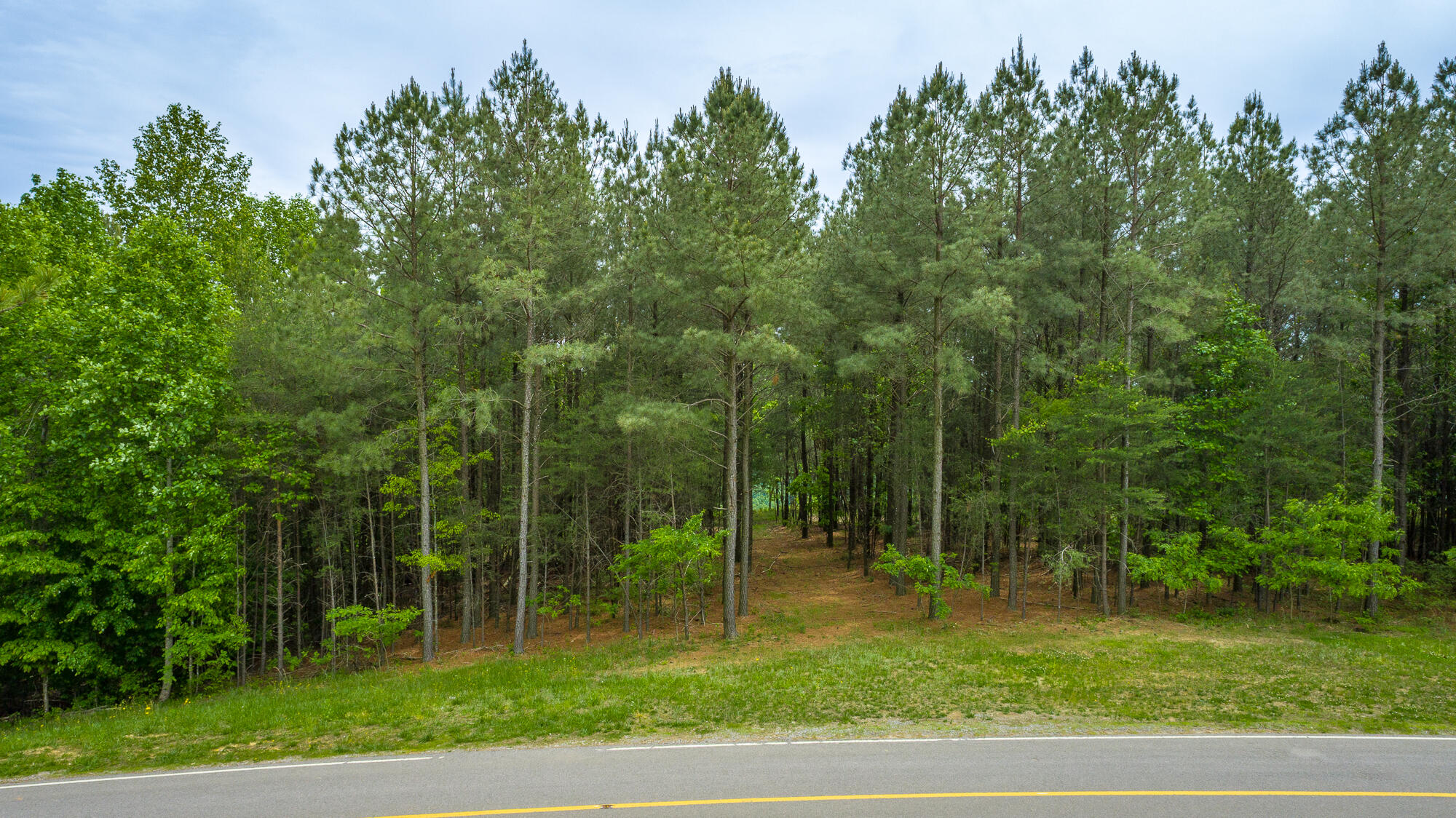 0 Crockett Pointe Point, Unit JF160 Jasper, TN 37347 - Photo 24 of 77 0 Crockett Pointe - JF160 HD-3
