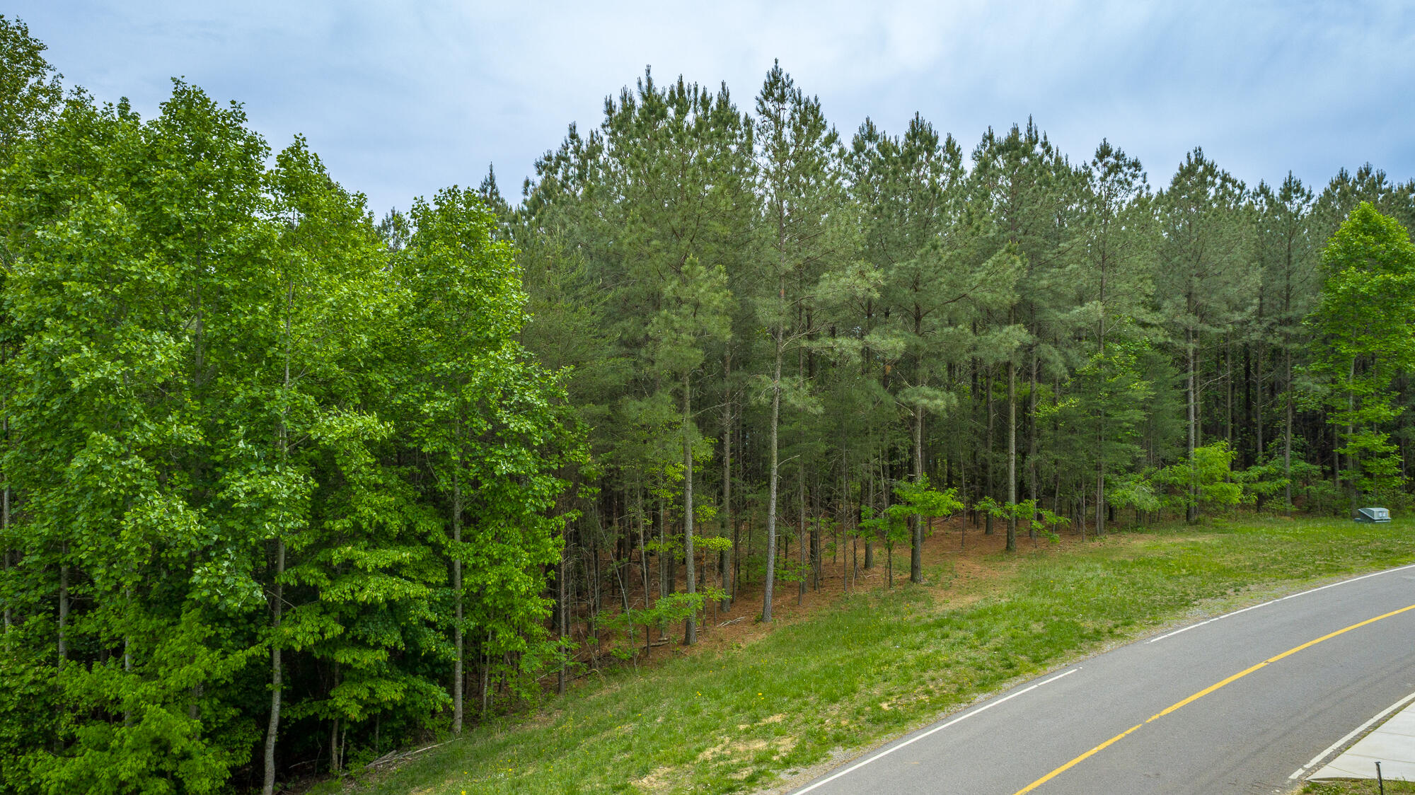 0 Crockett Pointe Point, Unit JF160 Jasper, TN 37347 - Photo 25 of 77 0 Crockett Pointe - JF160 HD-2