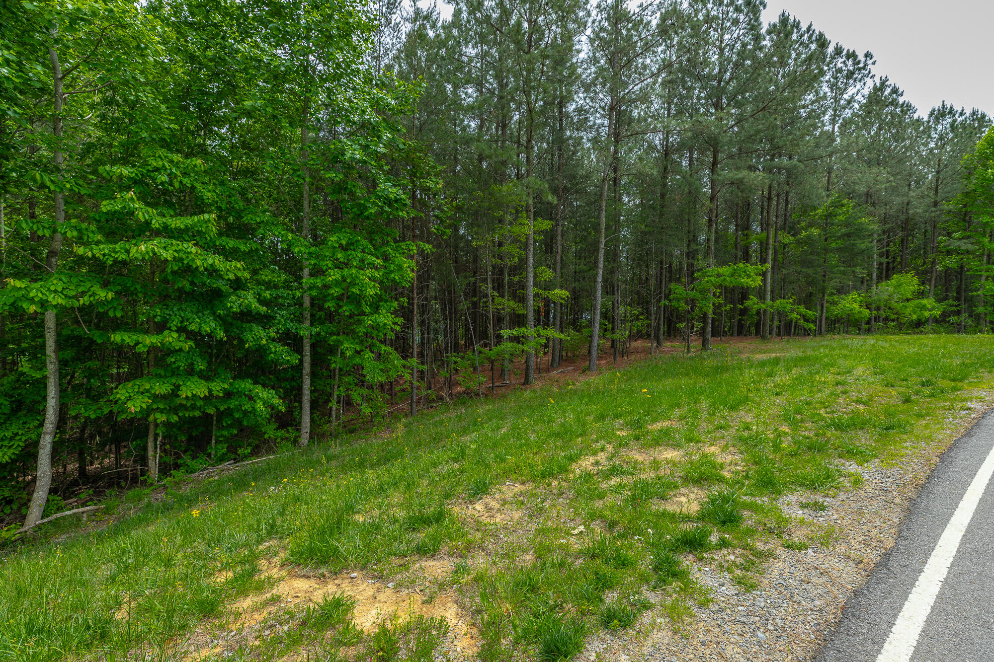 0 Crockett Pointe Point, Unit JF160 Jasper, TN 37347 - Photo 26 of 77 0 Crockett Pointe - JF160 HD-62