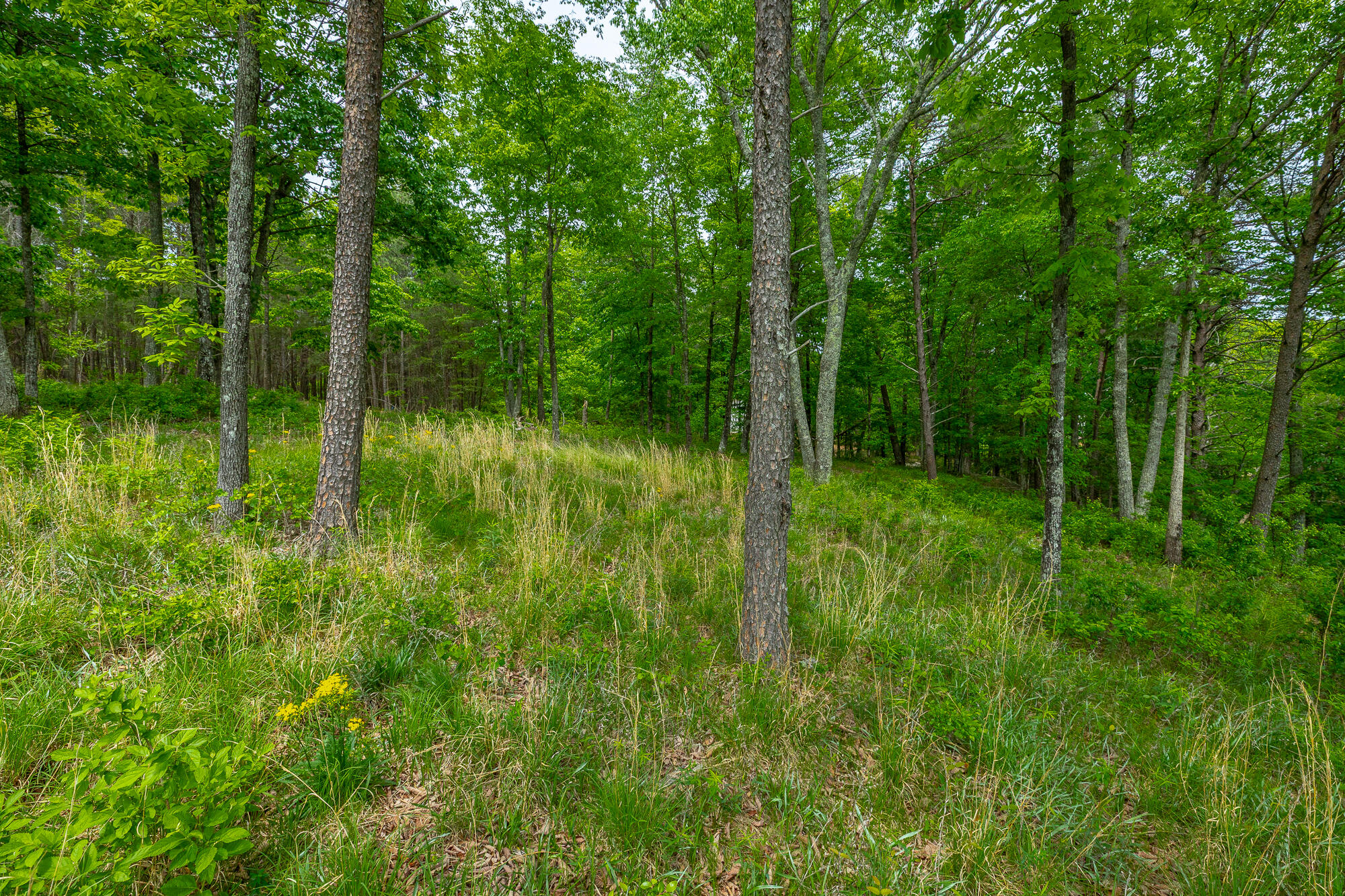 0 Crockett Pointe Point, Unit JF160 Jasper, TN 37347 - Photo 27 of 77 0 Crockett Pointe - JF160 HD-75