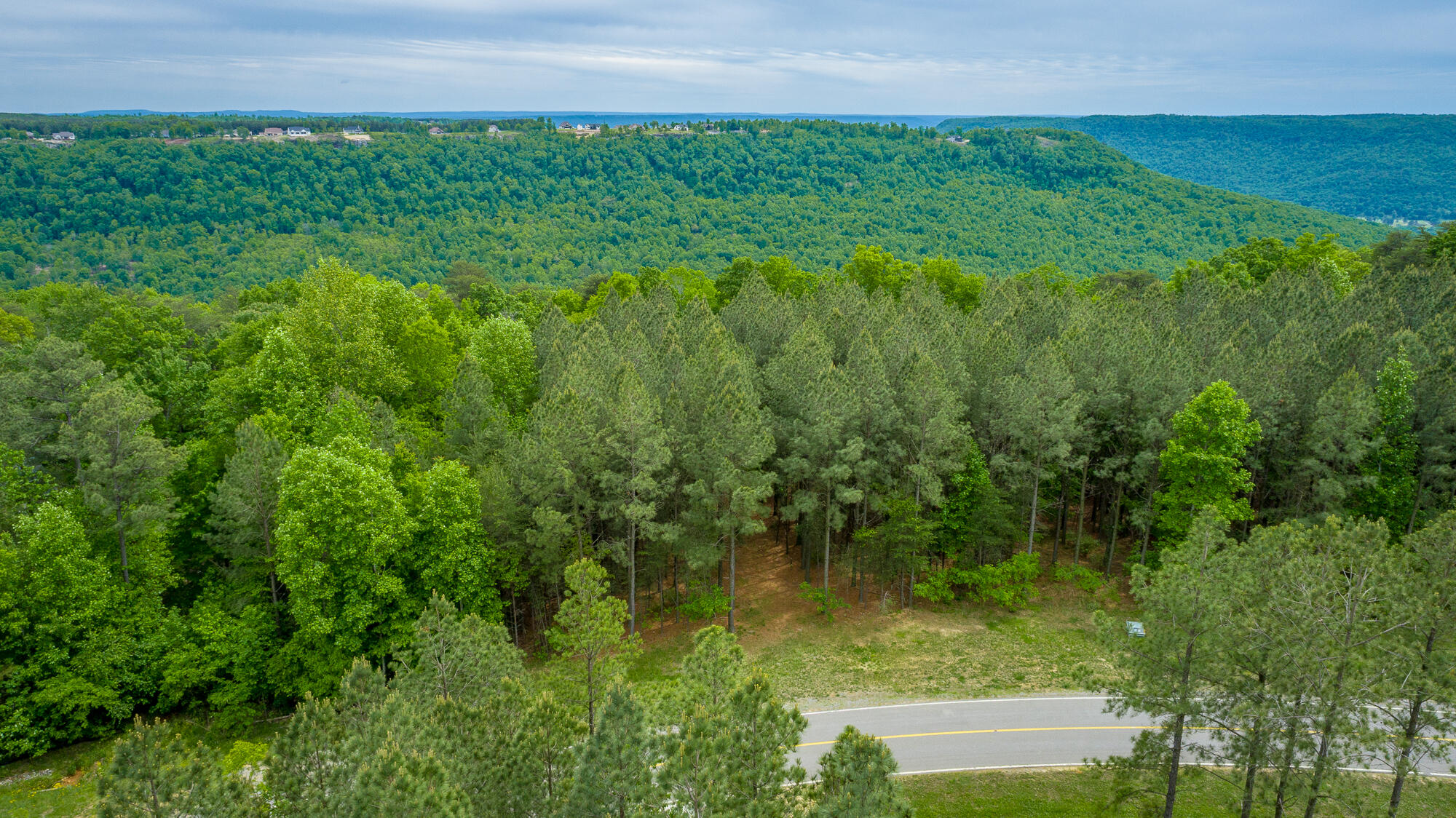 0 Crockett Pointe Point, Unit JF160 Jasper, TN 37347 - Photo 28 of 77 0 Crockett Pointe - JF160 HD-6