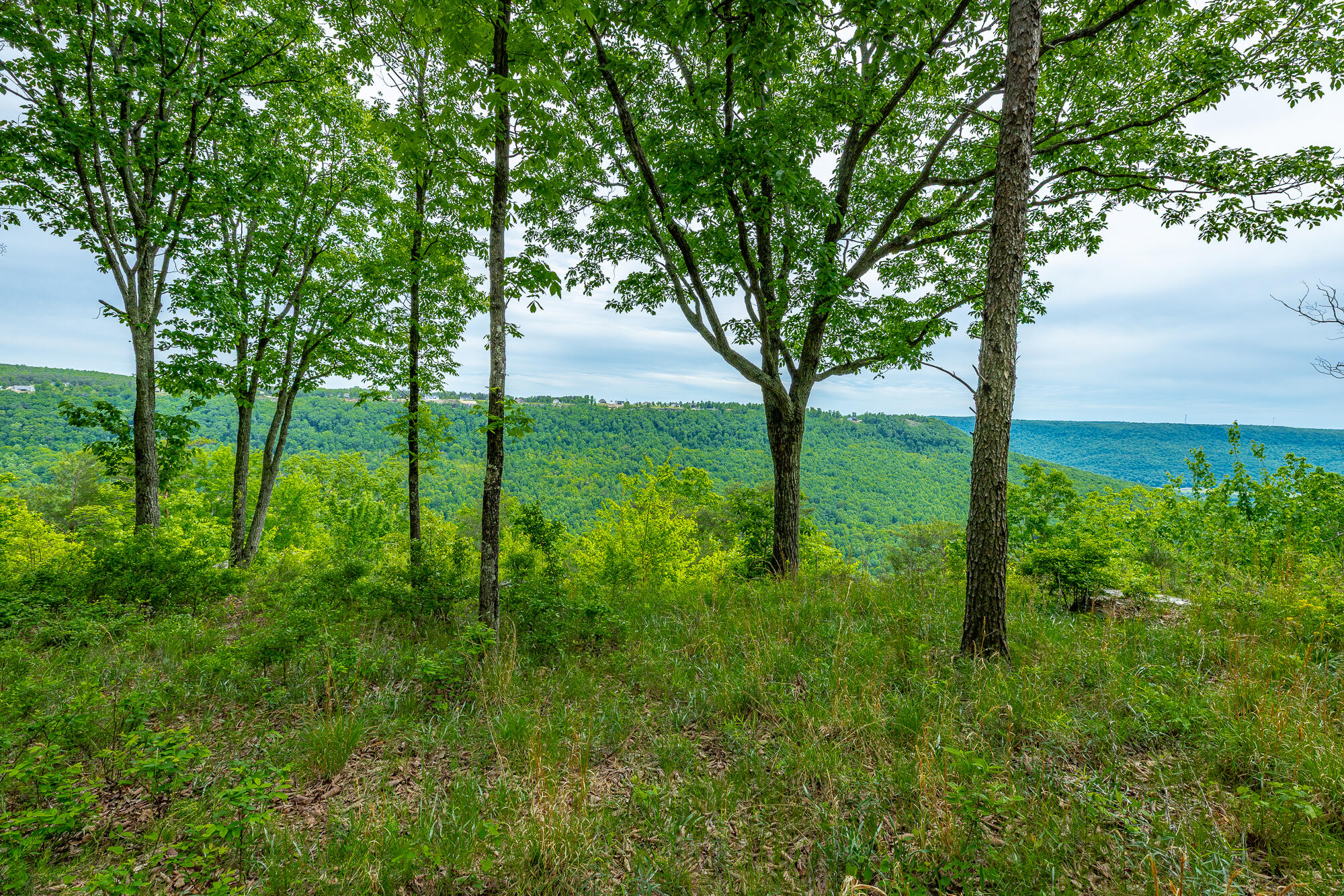 0 Crockett Pointe Point, Unit JF160 Jasper, TN 37347 - Photo 4 of 77 0 Crockett Pointe - JF160 HD-69