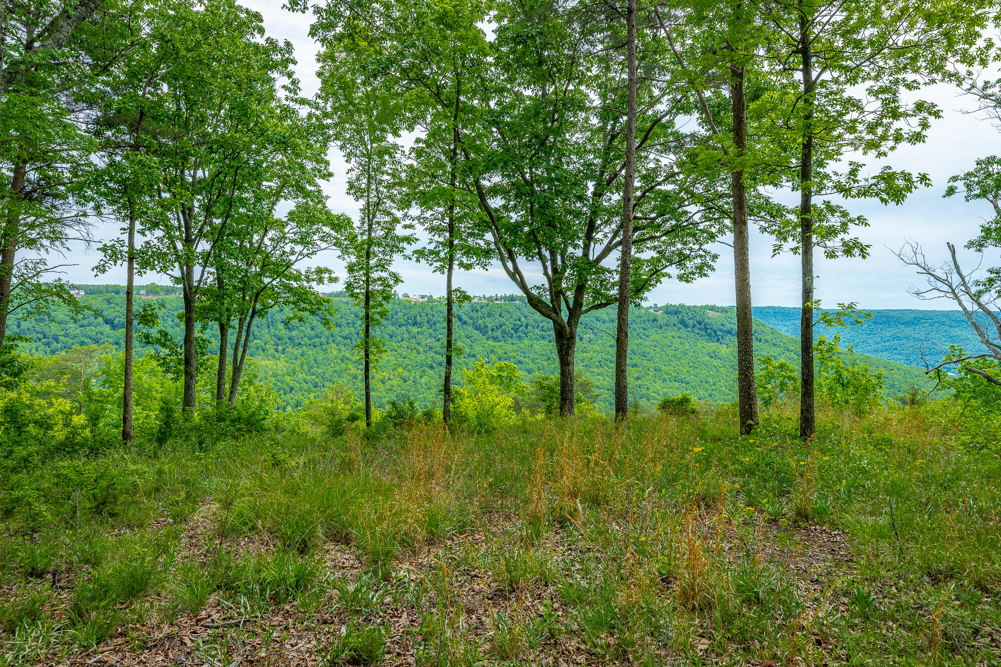 0 Crockett Pointe Point, Unit JF160 Jasper, TN 37347 - Photo 5 of 77 0 Crockett Pointe - JF160 HD-68