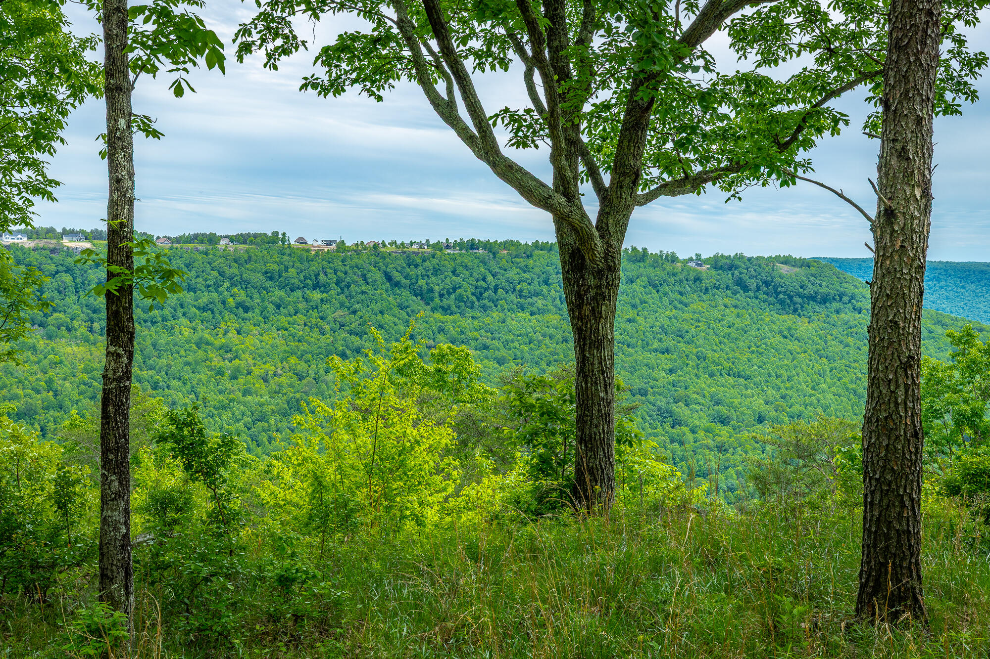 0 Crockett Pointe Point, Unit JF160 Jasper, TN 37347 - Photo 6 of 77 0 Crockett Pointe - JF160 HD-70