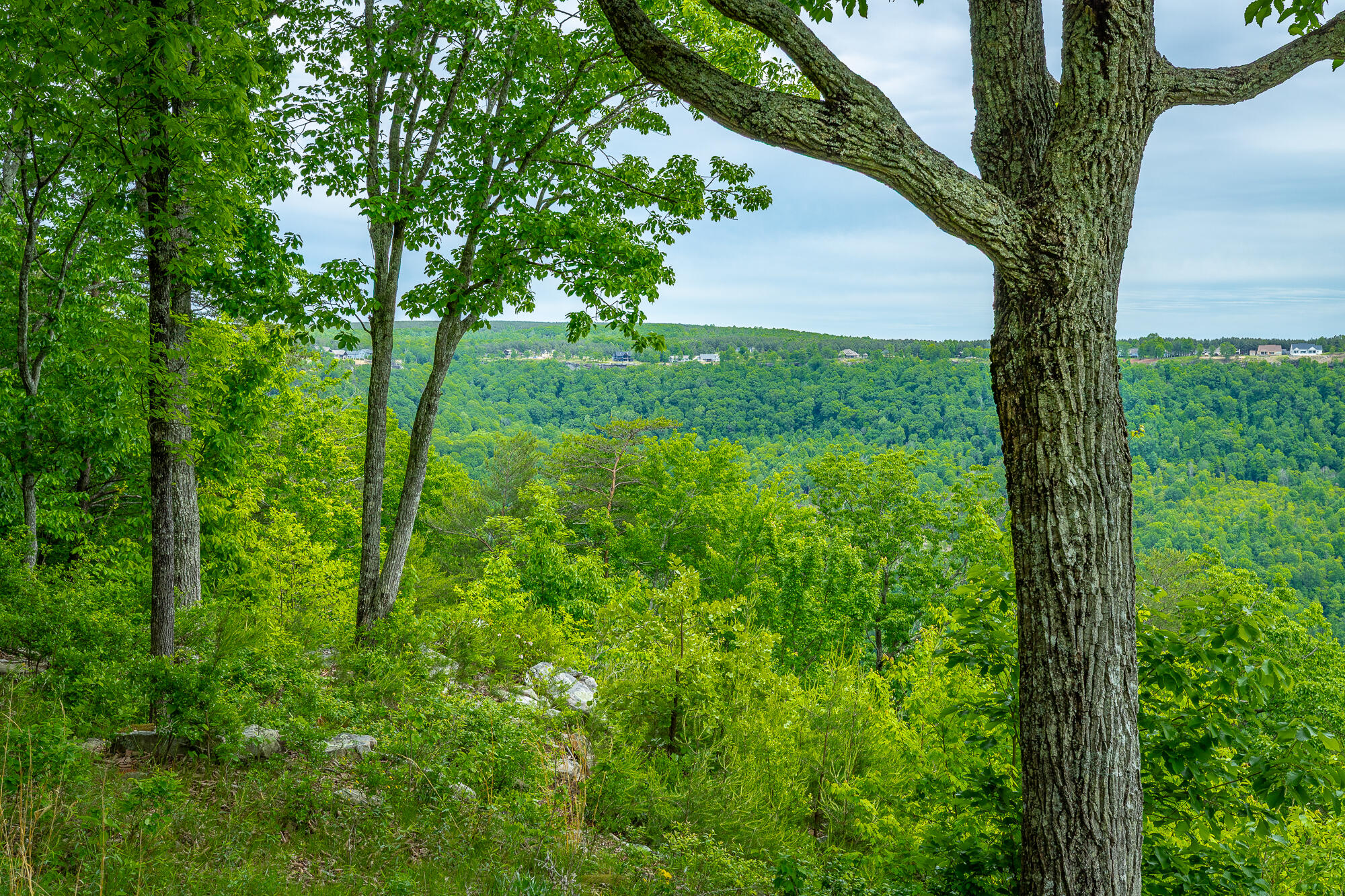 0 Crockett Pointe Point, Unit JF160 Jasper, TN 37347 - Photo 7 of 77 0 Crockett Pointe - JF160 HD-74