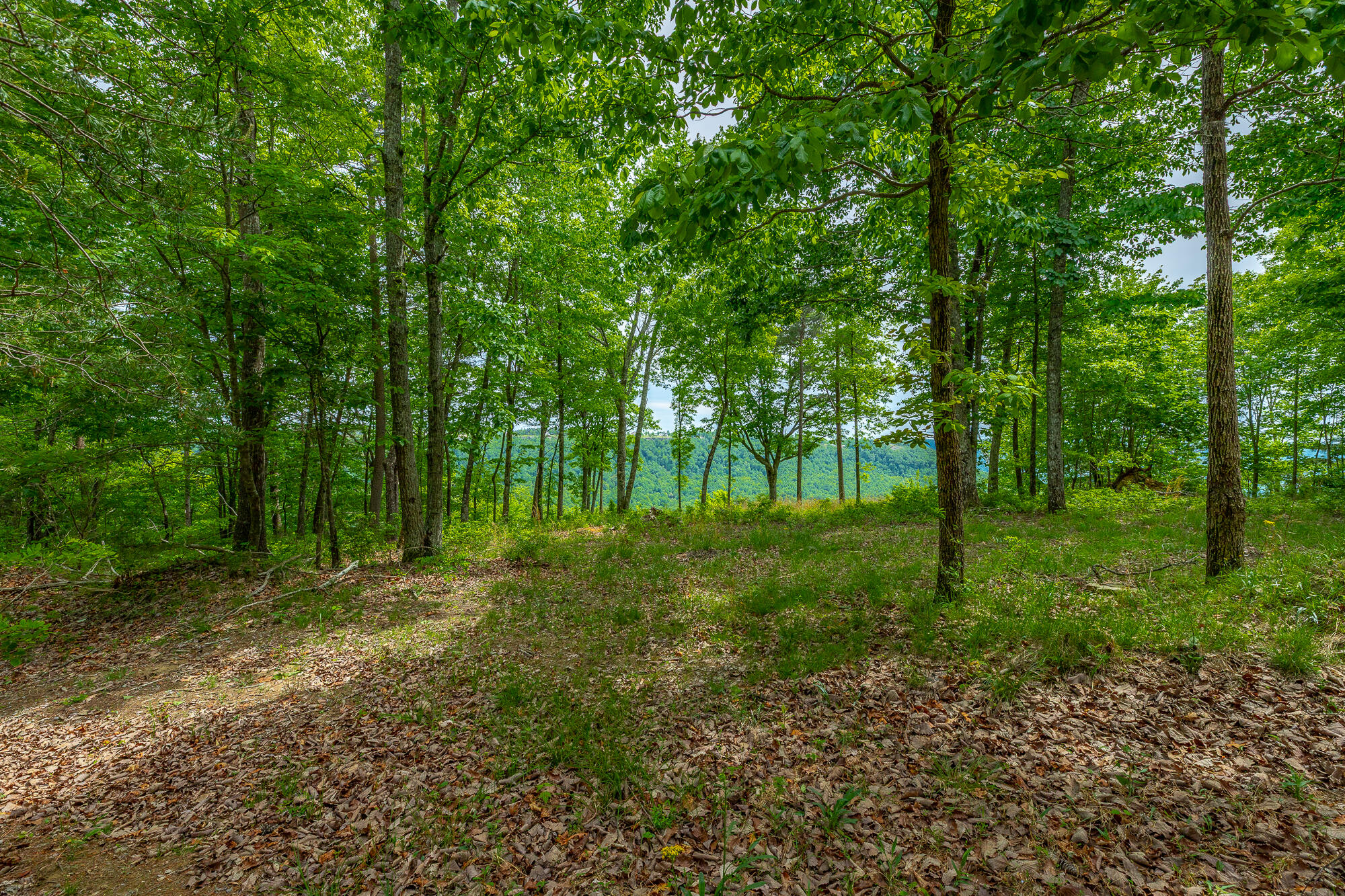 0 Crockett Pointe Point, Unit JF160 Jasper, TN 37347 - Photo 10 of 77 0 Crockett Pointe - JF160 HD-64