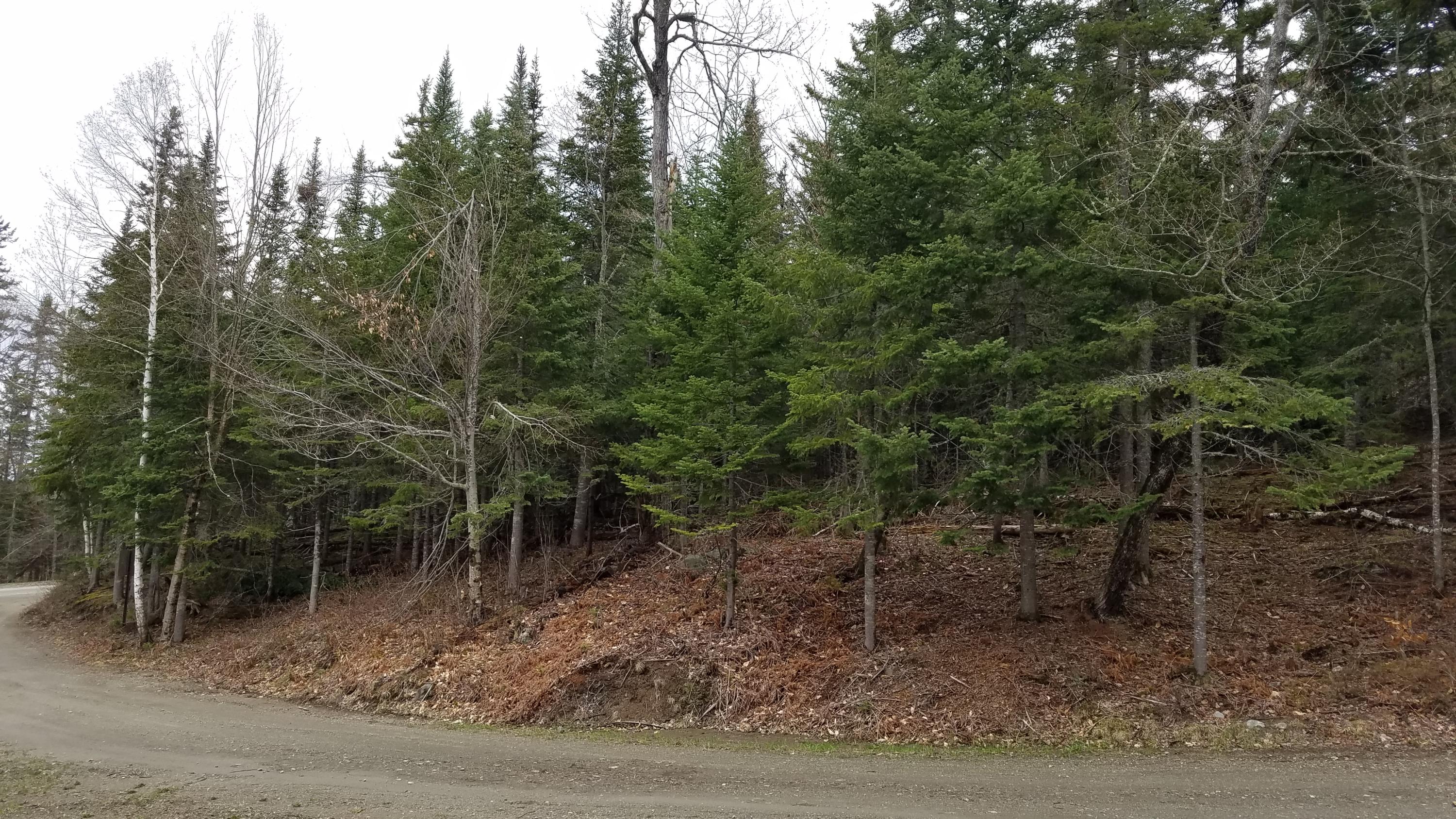 Tbd Lot 33 Tbd Road Stratton, ME 04982 - Photo 2 of 4 20210506_102819