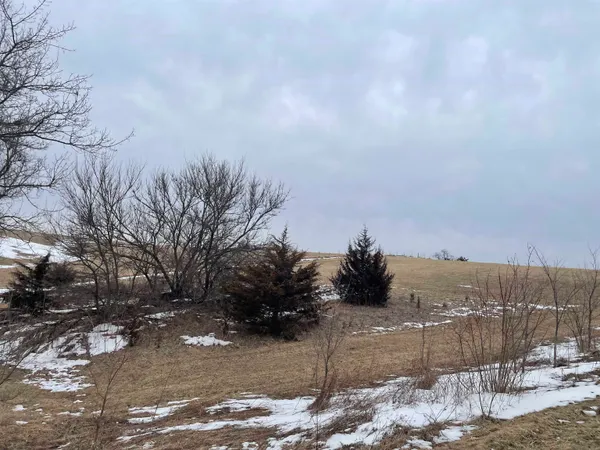 $8,000 | 320 Thunder Bay Road, Galena, IL 61036
