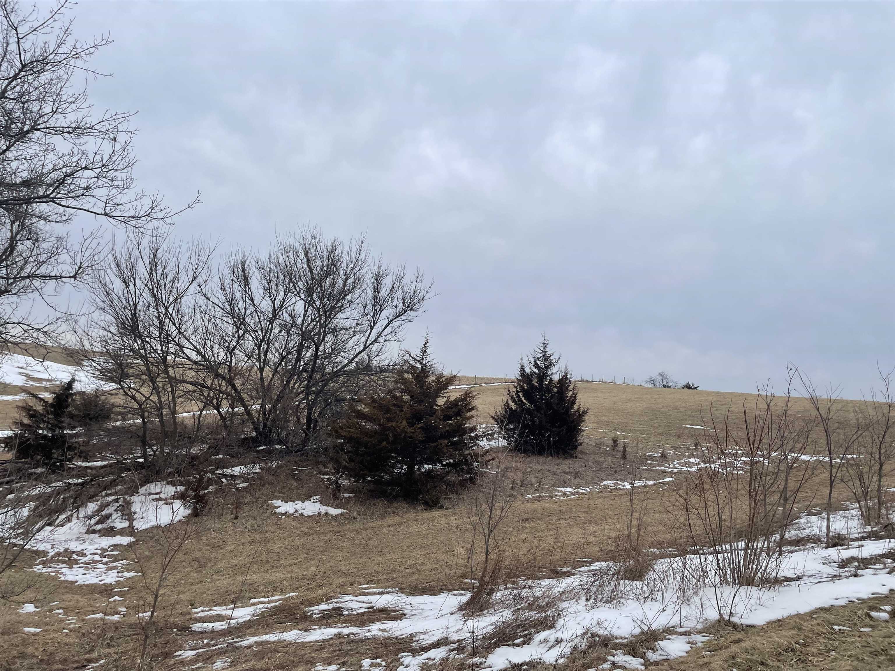 320 Thunder Bay Road Galena, IL 61036 - Photo 3 of 5