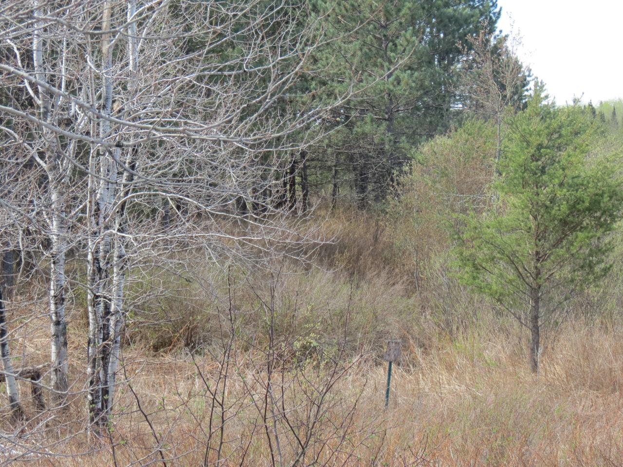 Off Off Cth C Rhinelander, WI 54501 - Photo 4 of 5 Gallery Image 4