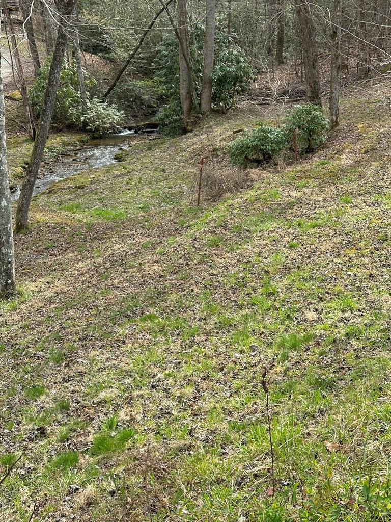 140 Old Whitener Road Murphy, NC 28906 - Photo 53 of 60