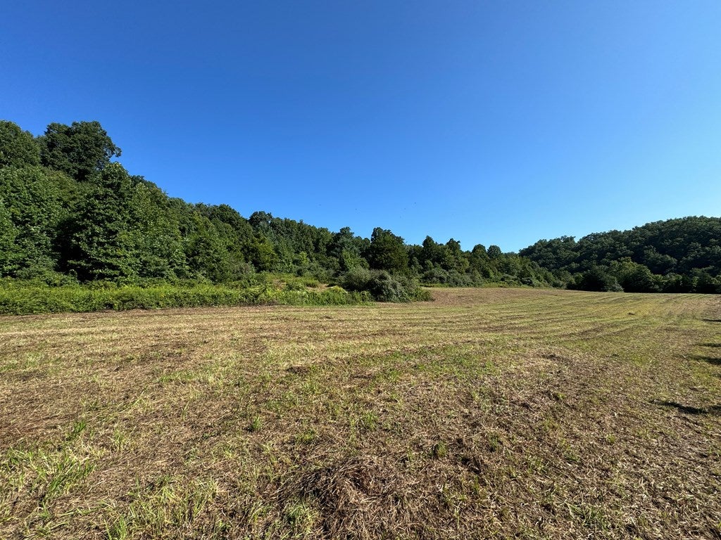 1667 Bandy Road, Unit 62 63A Cedar Bluff, VA 24609 - Photo 20 of 25 Gallery Image 20