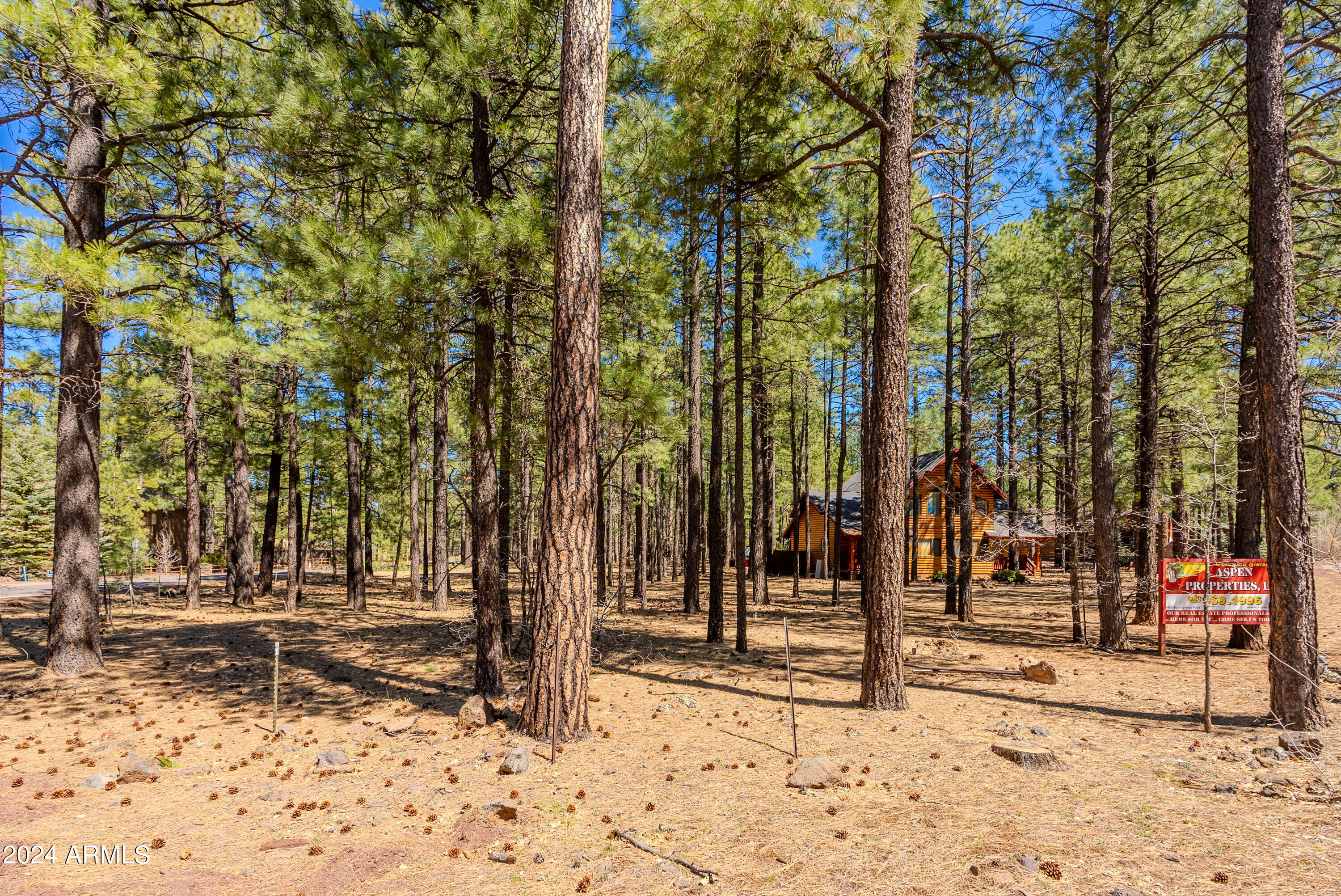 4571 Sky Hi Road Pinetop, AZ 85935 - Photo 18 of 23 4571 Sky Hi-18