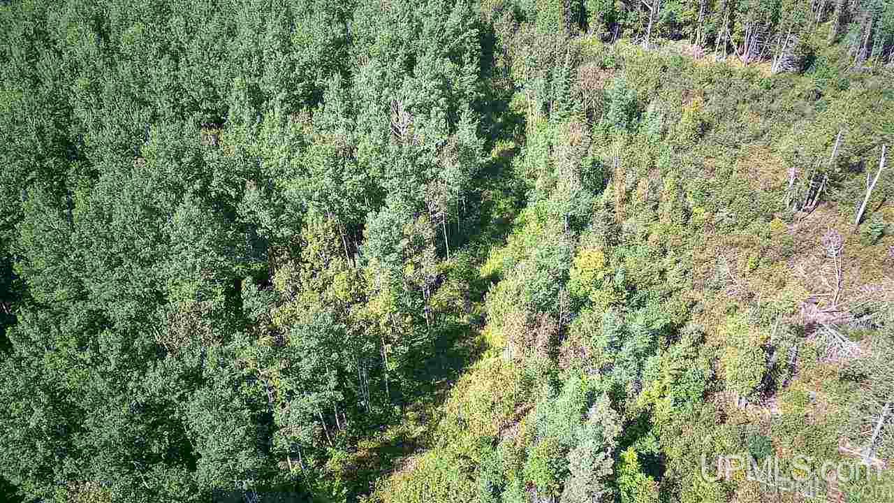 Tbd Off Of Co Rd 557, Unit 1 Arnold, MI 49819 - Photo 3 of 16