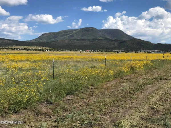 $65,000 | 26 County Road 2009, Unit C, Nutrioso, AZ 85932