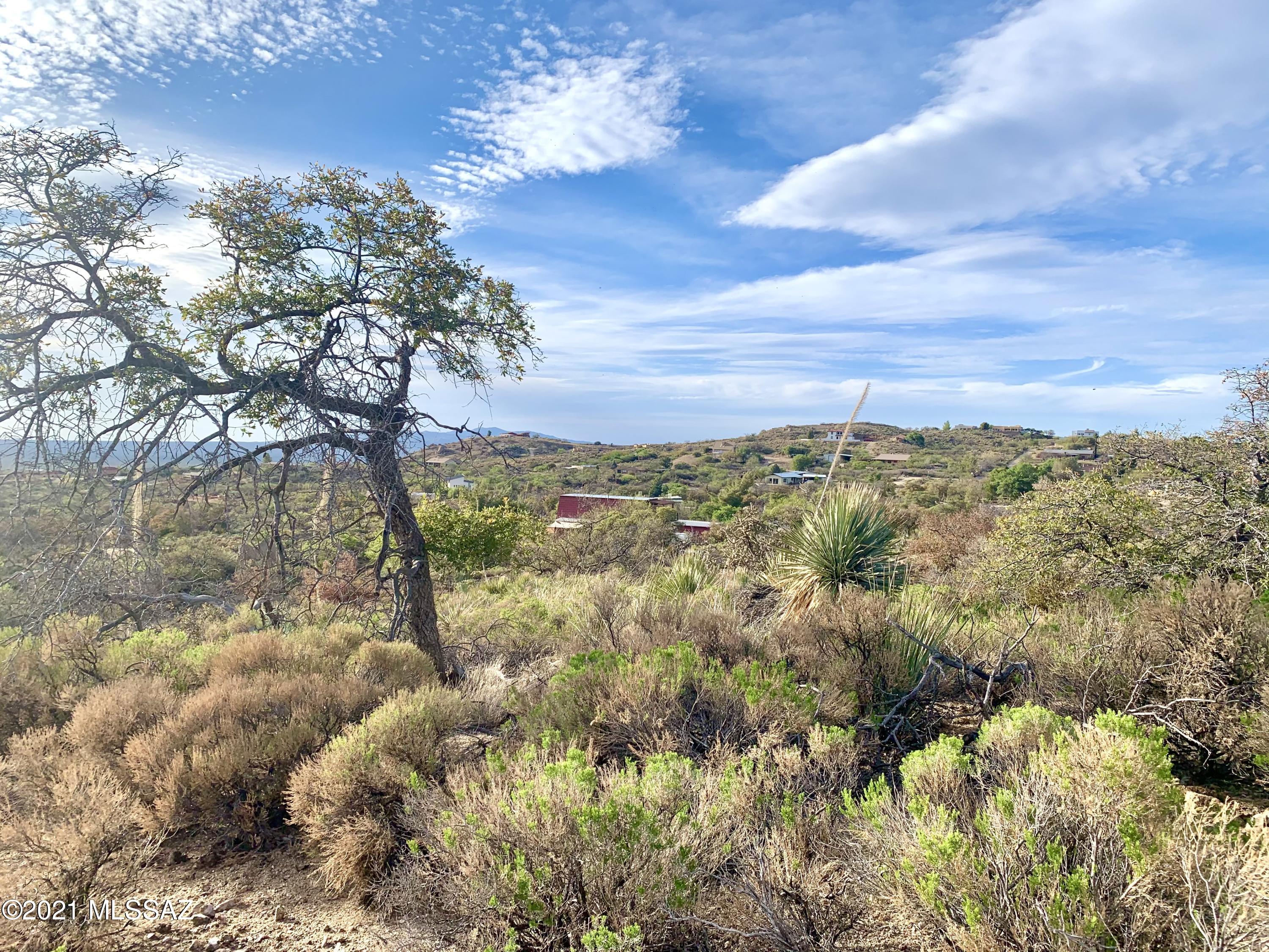 2.5 Acres Off Bachman Wash Road Oracle, AZ 85623 - Photo 6 of 10