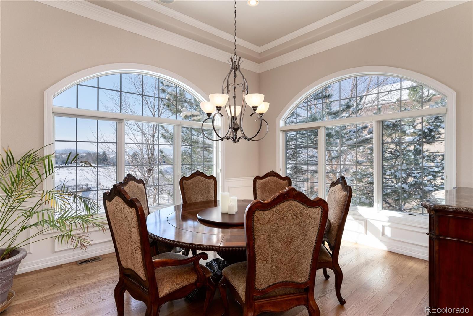 774 East Chamberlain Way Highlands Ranch, CO 80126 - Photo 8 of 50 Gallery Image 8