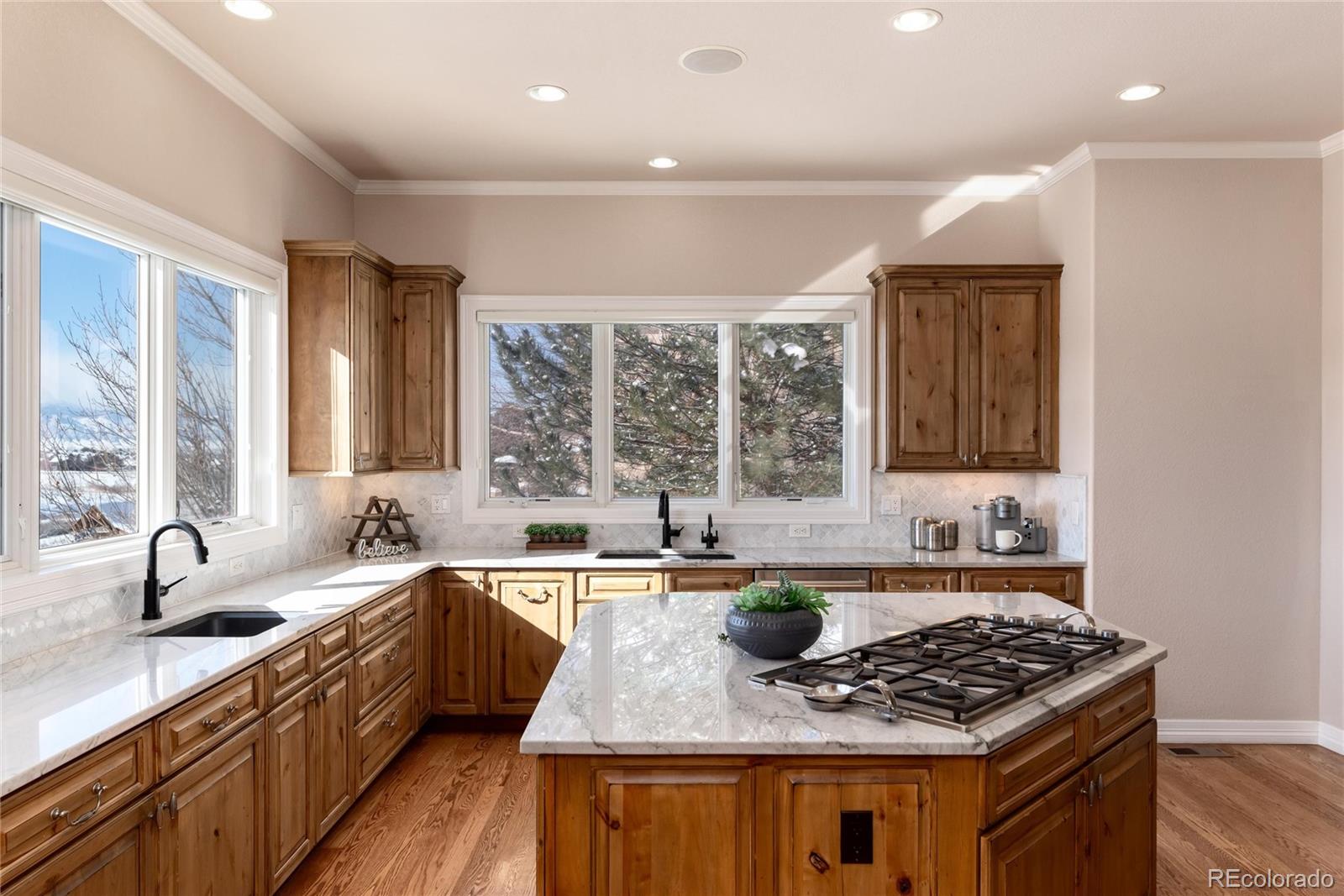 774 East Chamberlain Way Highlands Ranch, CO 80126 - Photo 10 of 50 Gallery Image 10