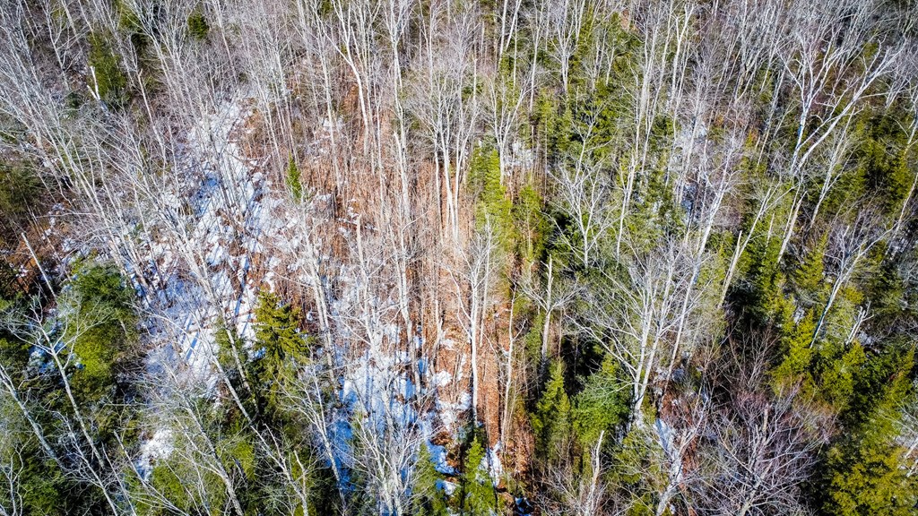 County Road Baileys Harbor, WI 54202 - Photo 6 of 11