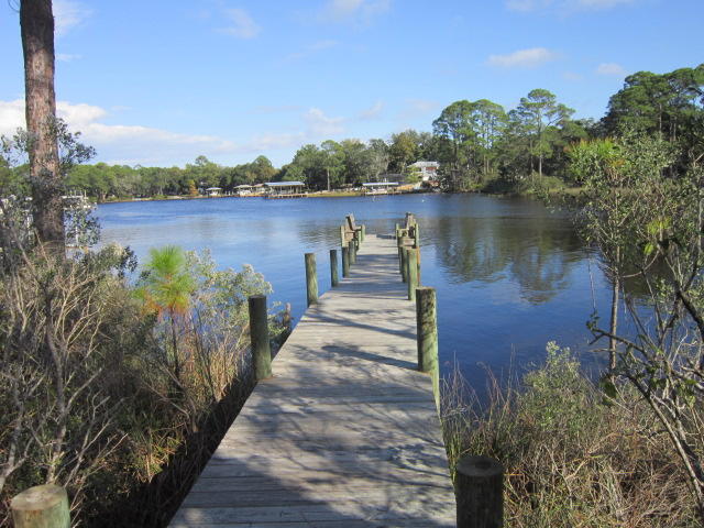 389 Botany Boulevard Santa Rosa Beach, FL 32459 - Photo 31 of 39 IMG_2275