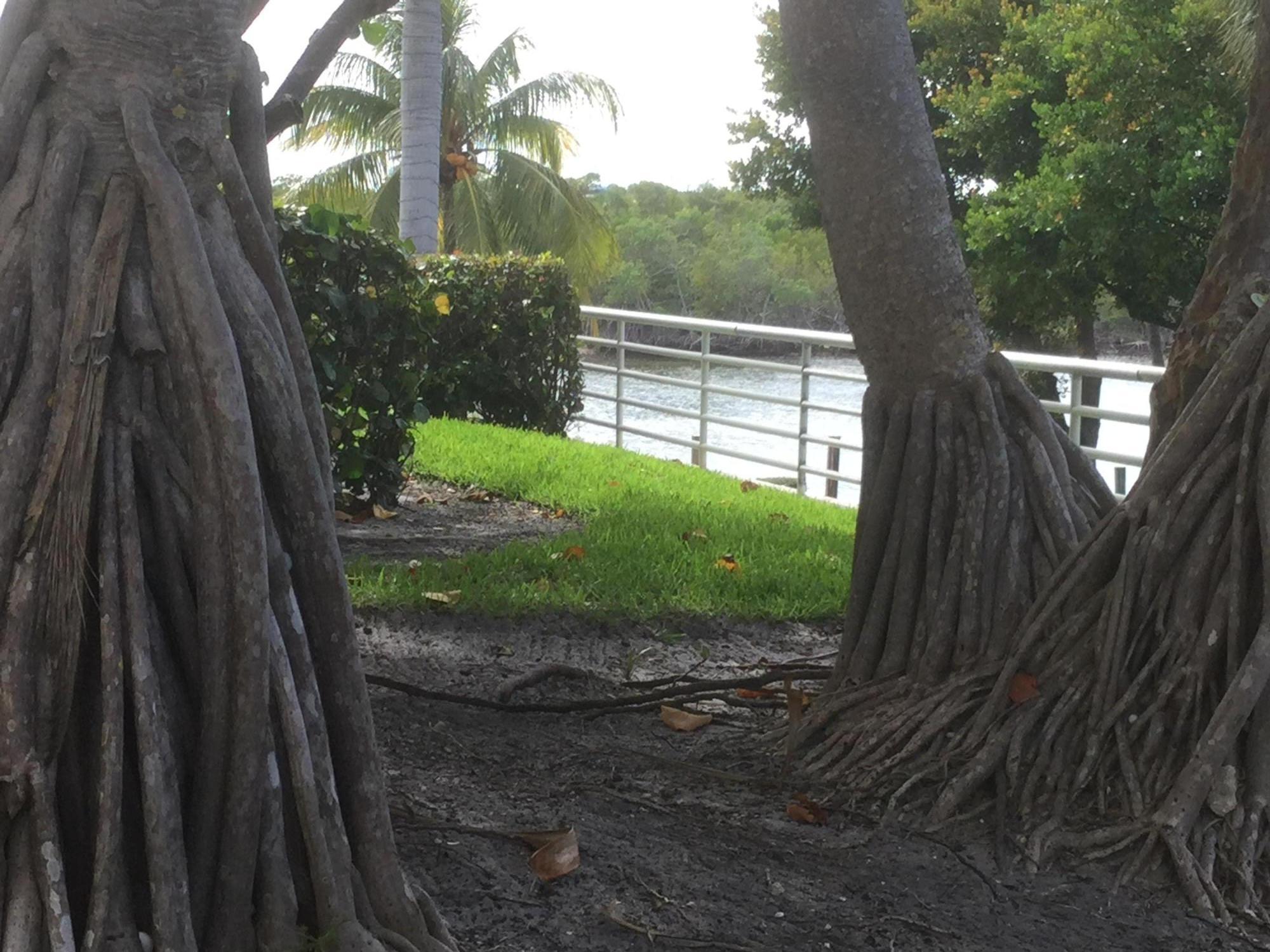 4201 North Ocean Boulevard, Unit C1001 Boca Raton, FL 33431 - Photo 44 of 48 Sea Ranch Club Private Grounds