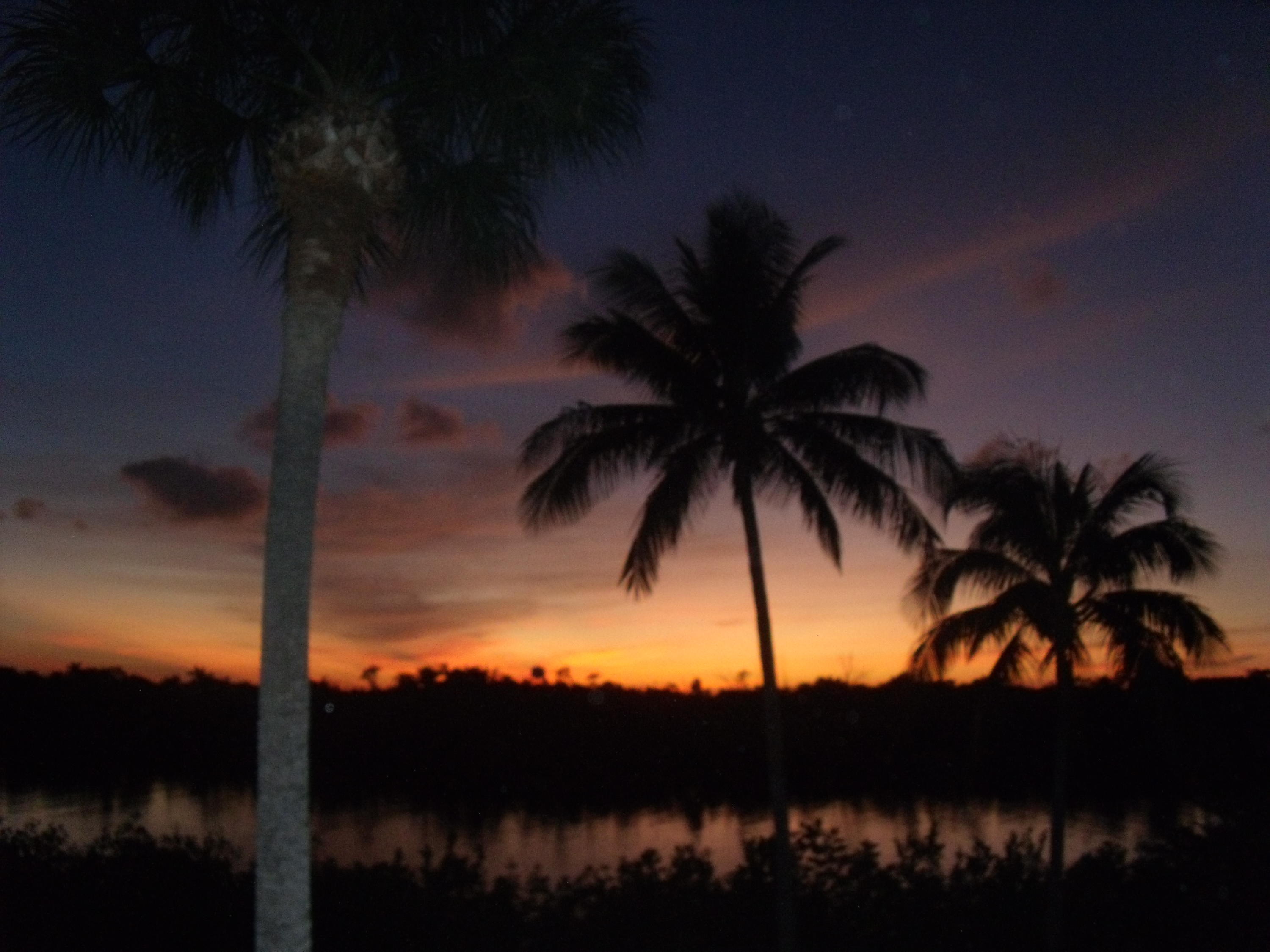4201 North Ocean Boulevard, Unit C1001 Boca Raton, FL 33431 - Photo 46 of 48 Sea Ranch Club Private Grounds