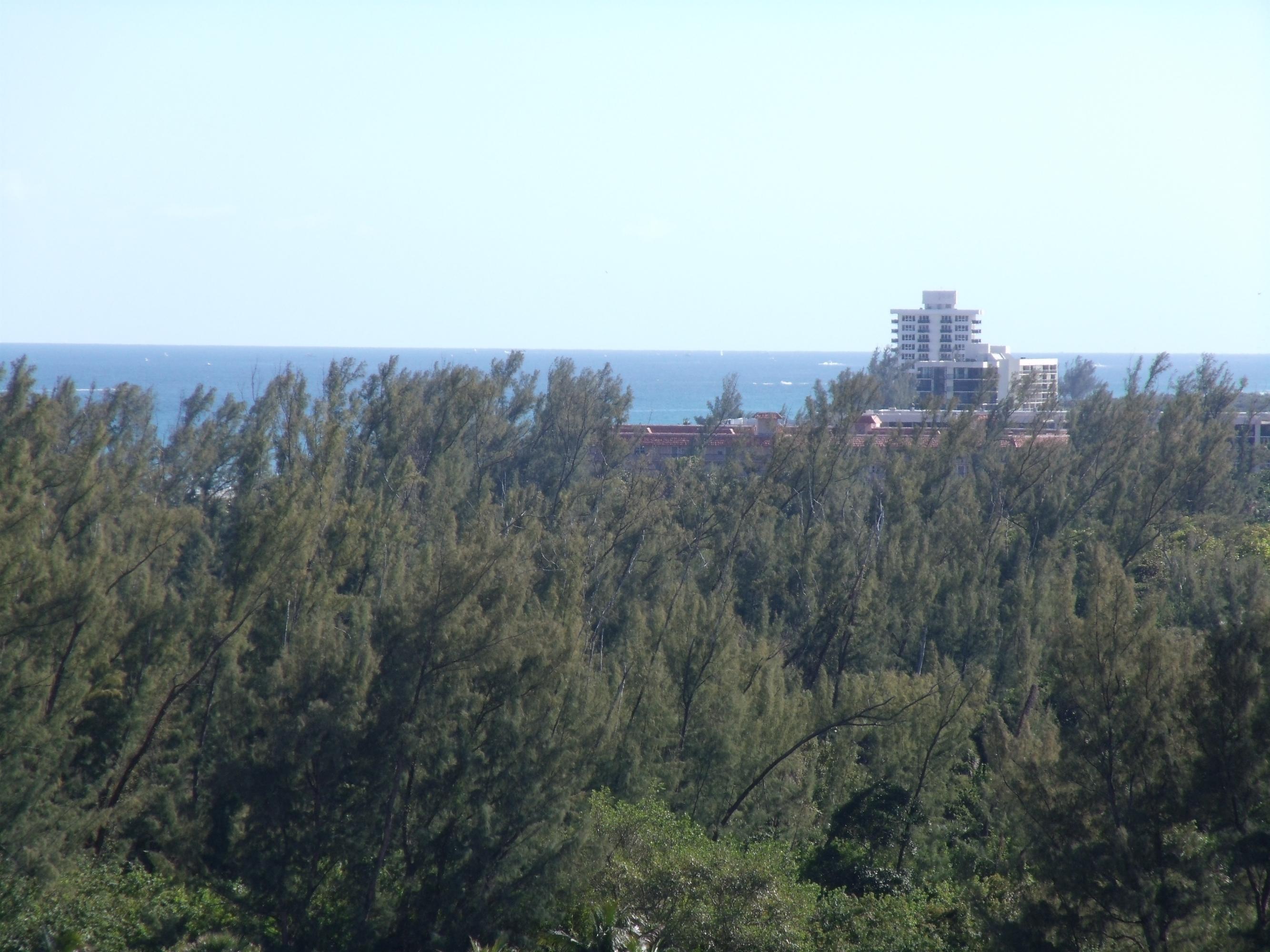 4201 North Ocean Boulevard, Unit C1001 Boca Raton, FL 33431 - Photo 8 of 48 View: Living Room