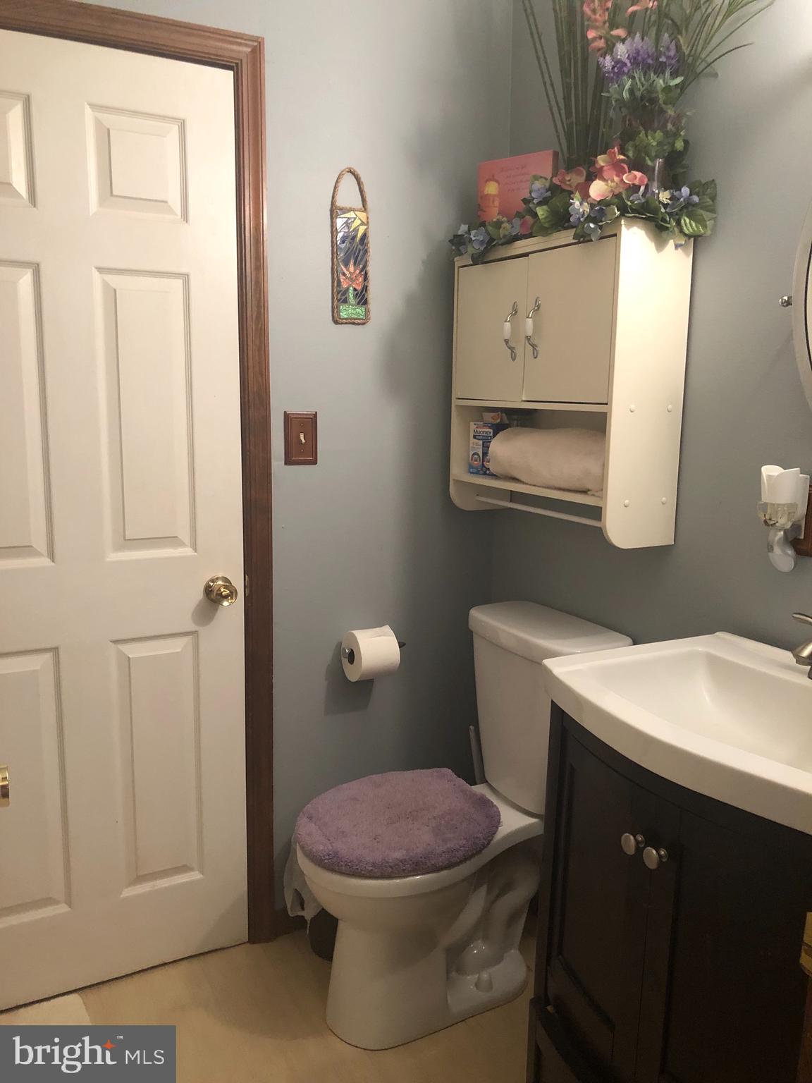 1260 County Rte 1/1 Berkeley Springs, WV 25411 - Photo 14 of 29 Main level bath