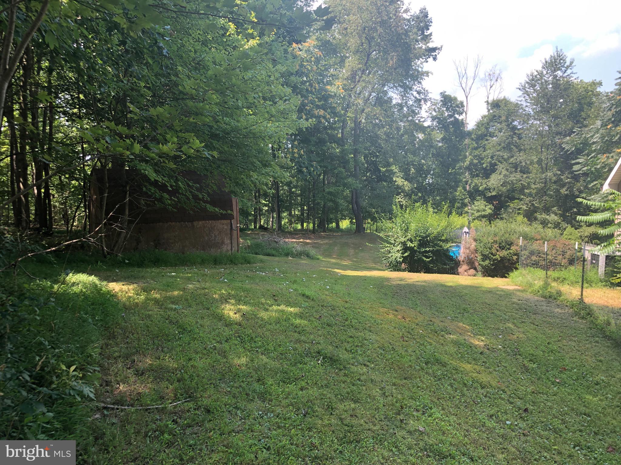 1260 County Rte 1/1 Berkeley Springs, WV 25411 - Photo 26 of 29 Back Yard