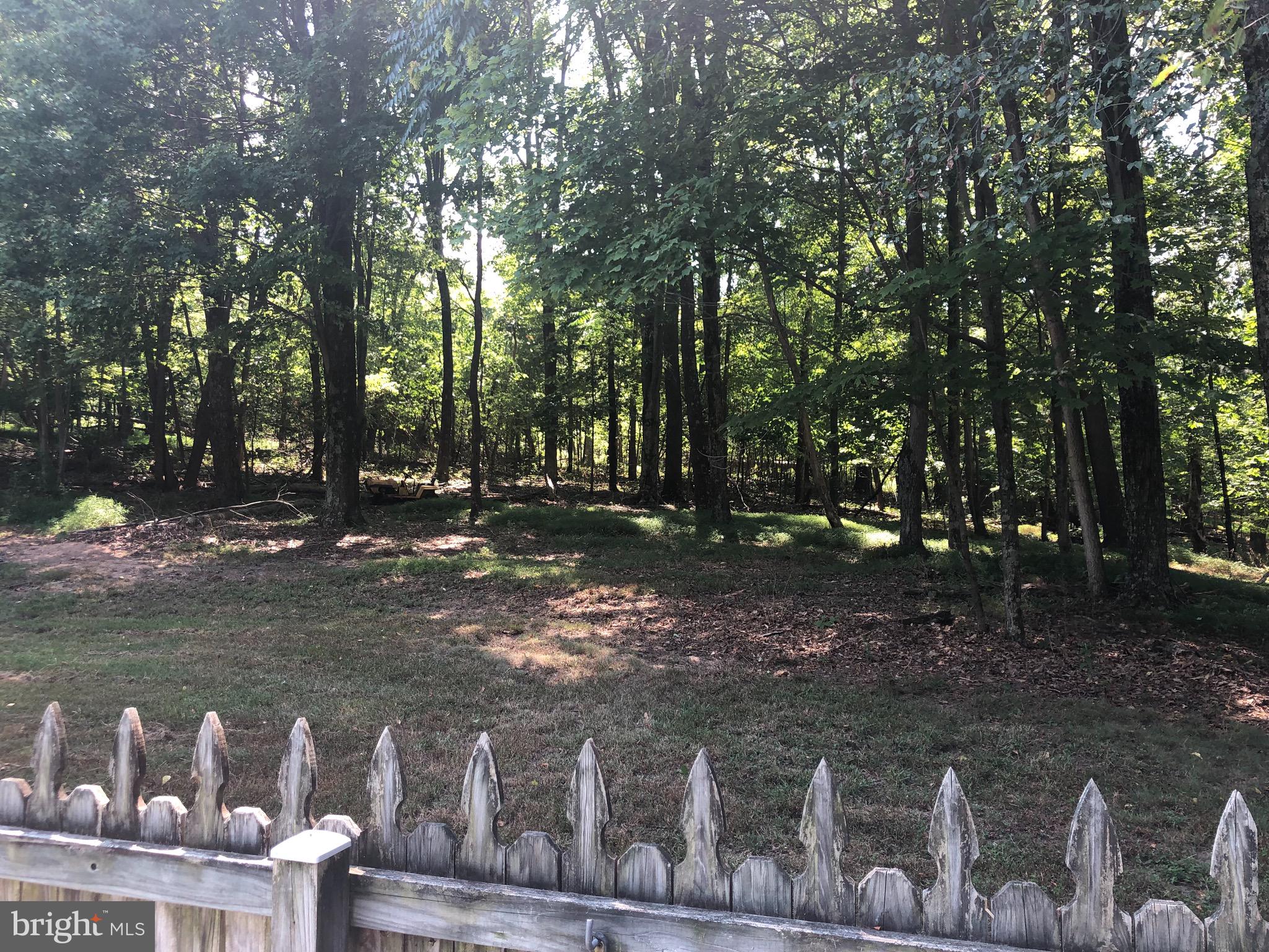 1260 County Rte 1/1 Berkeley Springs, WV 25411 - Photo 29 of 29 Back yard