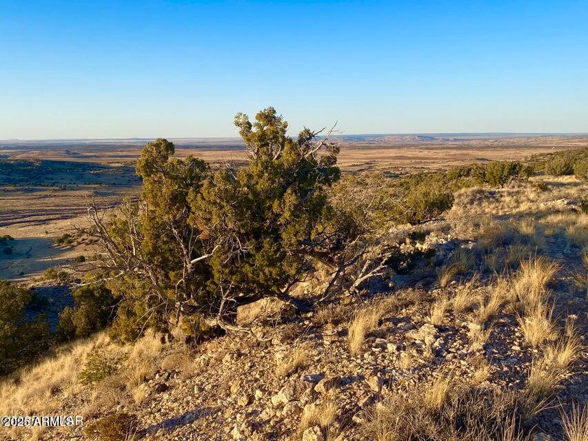 5062 2.39 Acres Concho Az 85924 Concho, AZ 85924 - Photo 11 of 23 a view of a ocean