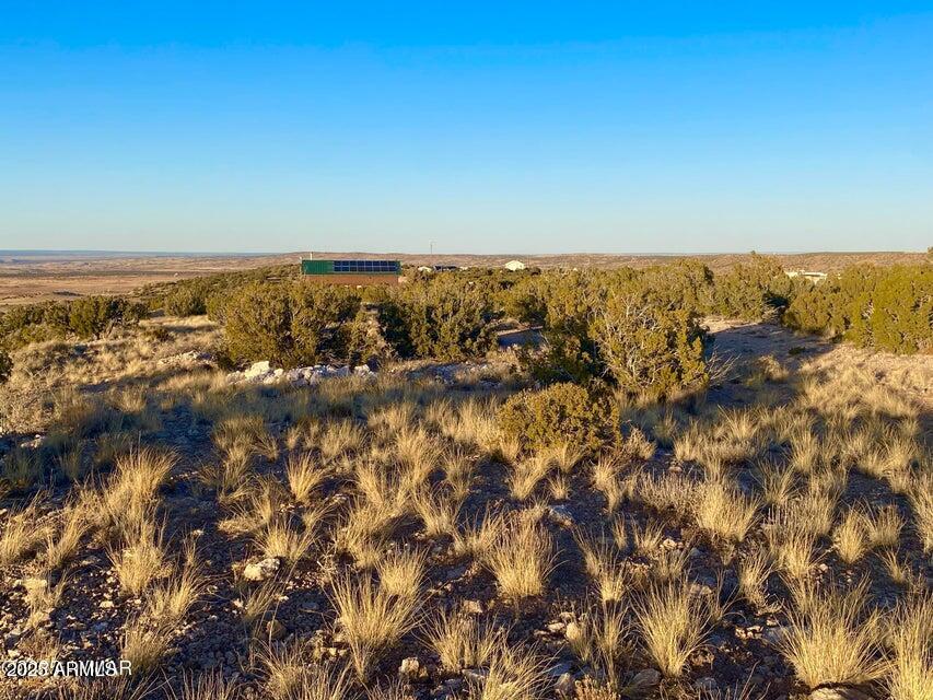 5062 2.39 Acres Concho Az 85924 Concho, AZ 85924 - Photo 14 of 23