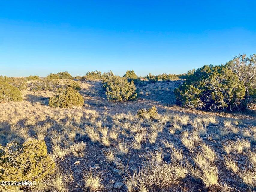 5062 2.39 Acres Concho Az 85924 Concho, AZ 85924 - Photo 15 of 23 a view of a yard
