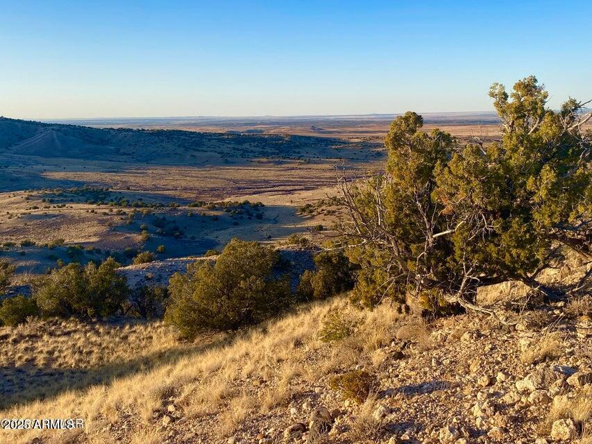 5062 2.39 Acres Concho Az 85924 Concho, AZ 85924 - Photo 2 of 23