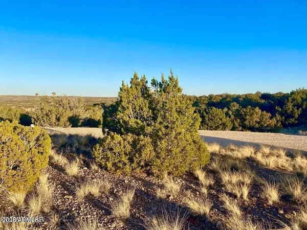 $12,999 | 5062 2.39 Acres Concho Az 85924, Concho, AZ 85924