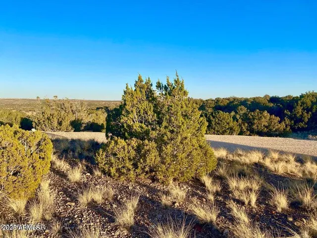$13,999 | 5062 2.39 Acres Concho Az 85924, Concho, AZ 85924