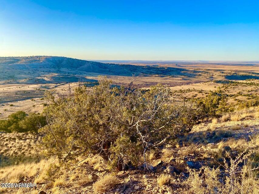 5062 2.39 Acres Concho Az 85924 Concho, AZ 85924 - Photo 9 of 23 a view of an ocean