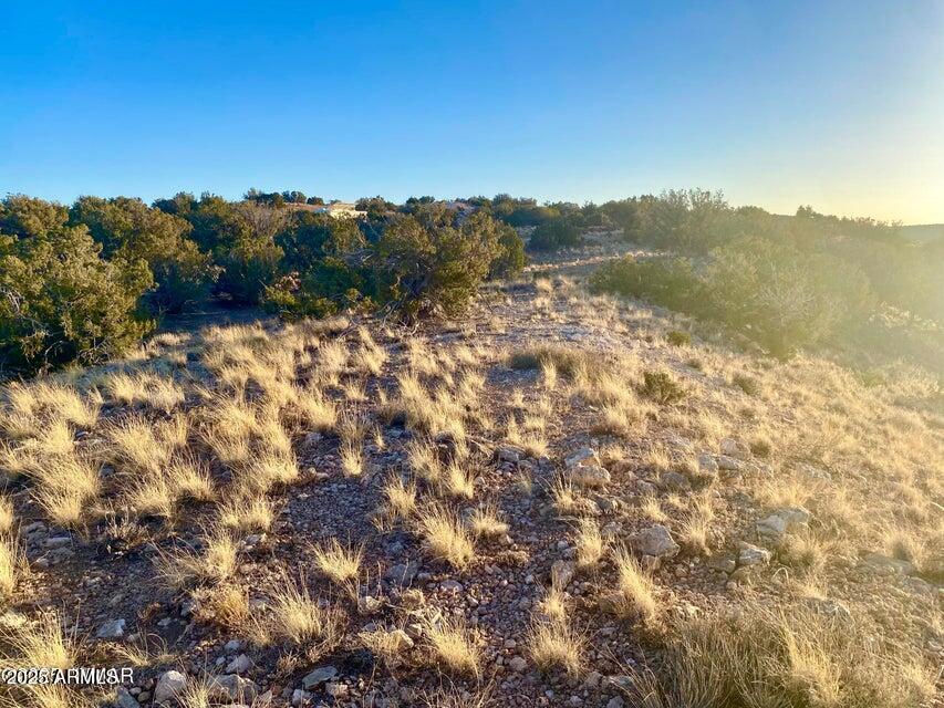 5062 2.39 Acres Concho Az 85924 Concho, AZ 85924 - Photo 10 of 23 a view of mountain with trees