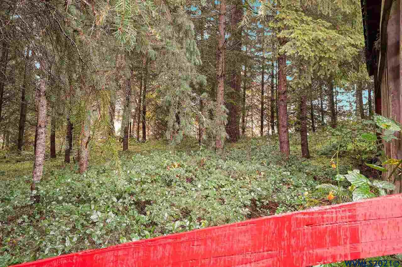 31070 Berlin Road Lebanon, OR 97355 - Photo 36 of 41