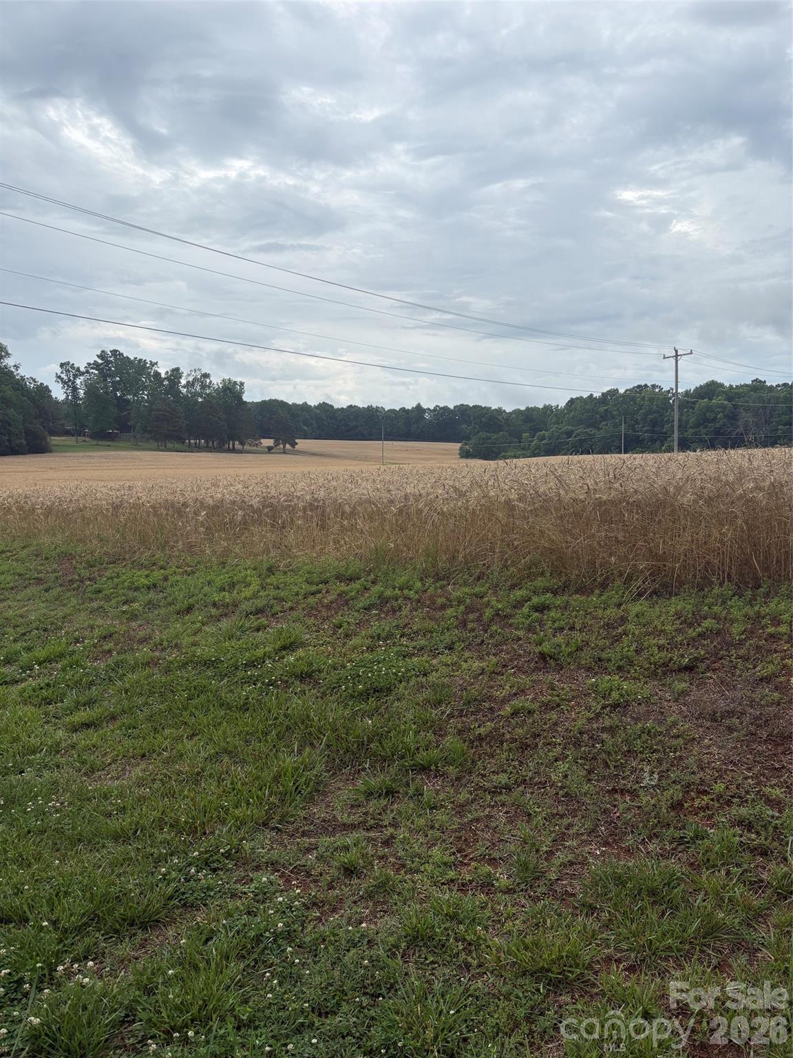 3434 Morgan Mill Road Monroe, NC 28110 - Photo 2 of 4 a view of lake