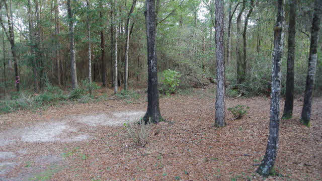 14260 County Road 9 Summerdale, AL 36580 - Photo 10 of 16 Back Yard