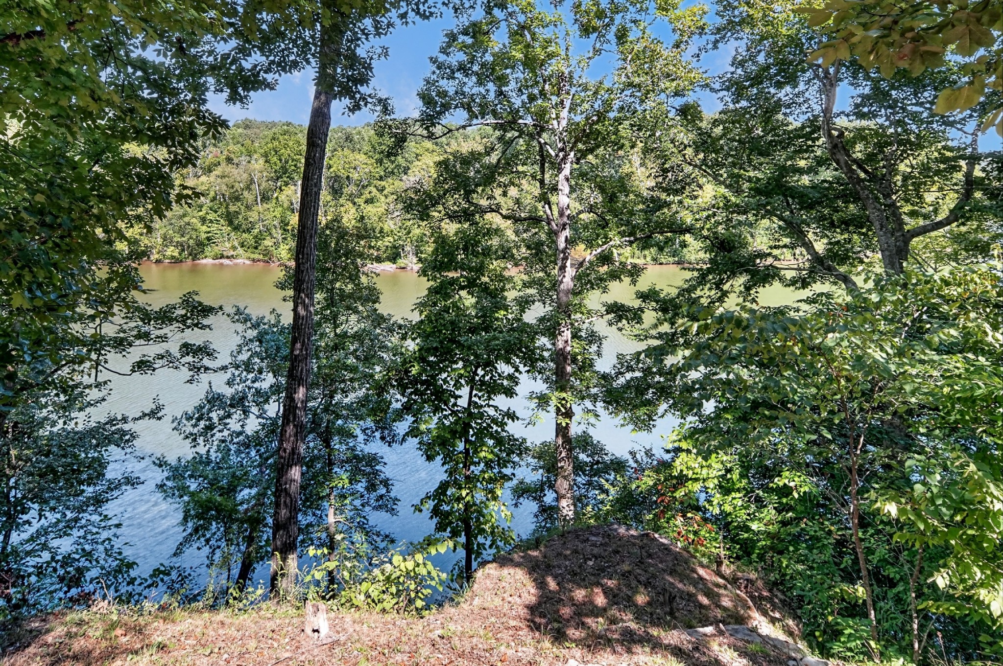 300 Chandler Road Doyle, TN 38559 - Photo 70 of 85 Gallery Image 70