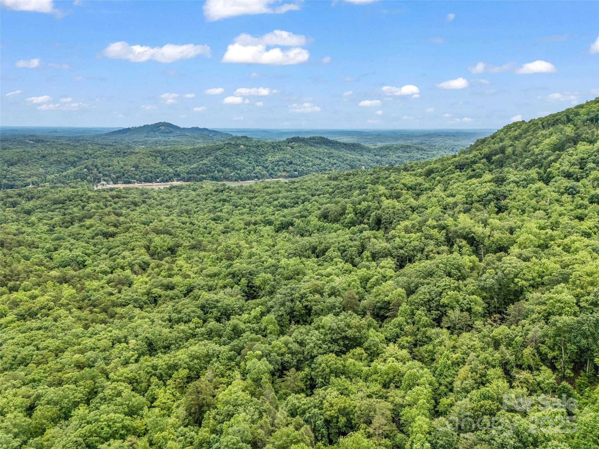 0 Quail Ridge Road, Unit 214 Tryon, NC 28782 - Photo 15 of 38