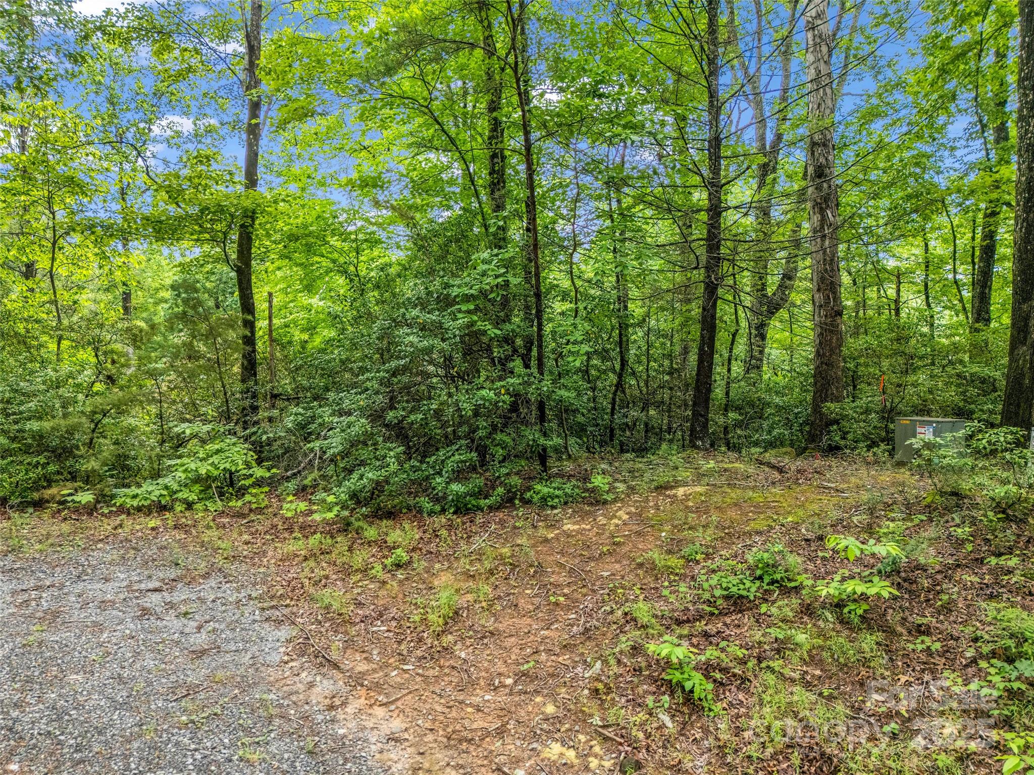 0 Quail Ridge Road, Unit 214 Tryon, NC 28782 - Photo 20 of 38