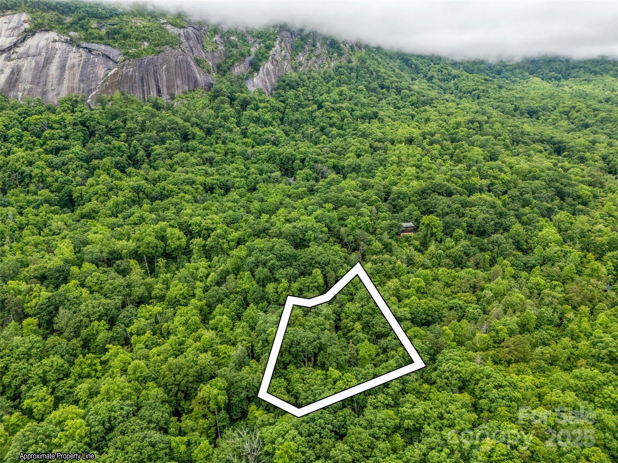 0 Quail Ridge Road, Unit 214 Tryon, NC 28782 - Photo 2 of 38