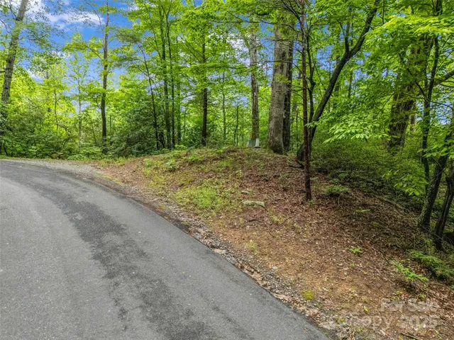 $10,000 | 0 Quail Ridge Road, Unit 214, Tryon, NC 28782