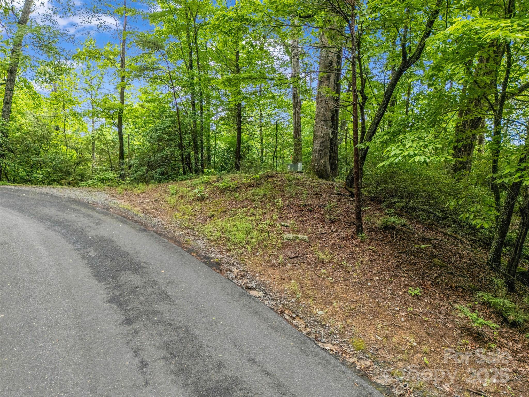 0 Quail Ridge Road, Unit 214 Tryon, NC 28782 - Photo 21 of 38